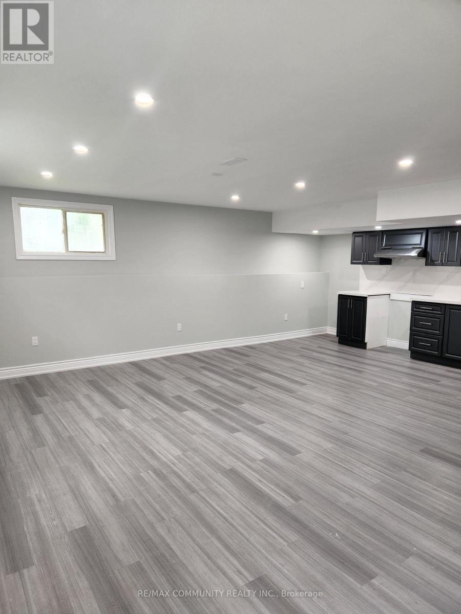 Basement - 802 Cedarvale Drive, Innisfil, Ontario  L9S 4L4 - Photo 10 - N12672518