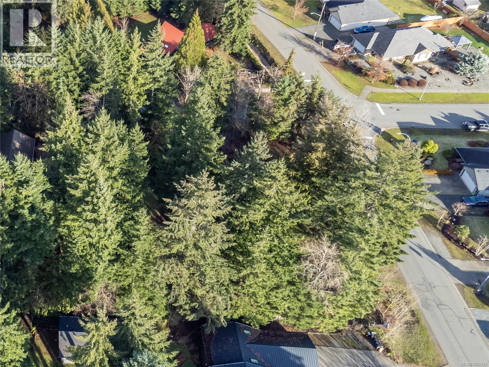 3352 Mill St, Cumberland, British Columbia V0R 1S0 - Photo 10 - 1022523