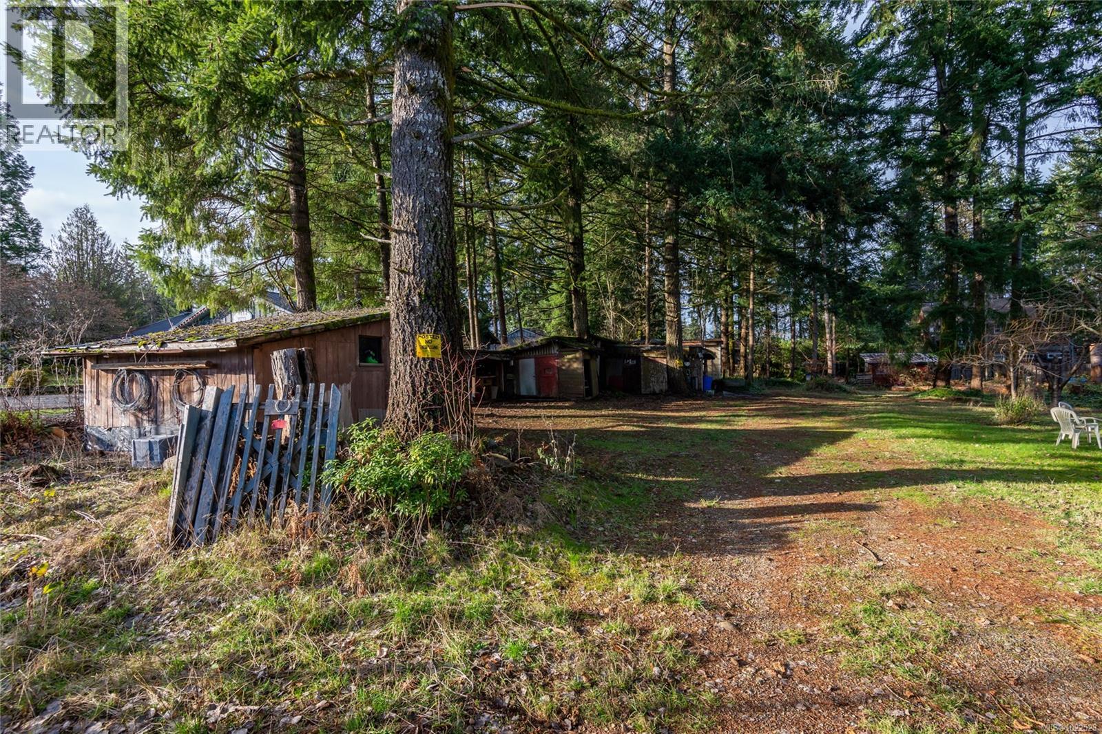 3352 Mill St, Cumberland, British Columbia V0R 1S0 - Photo 11 - 1022523