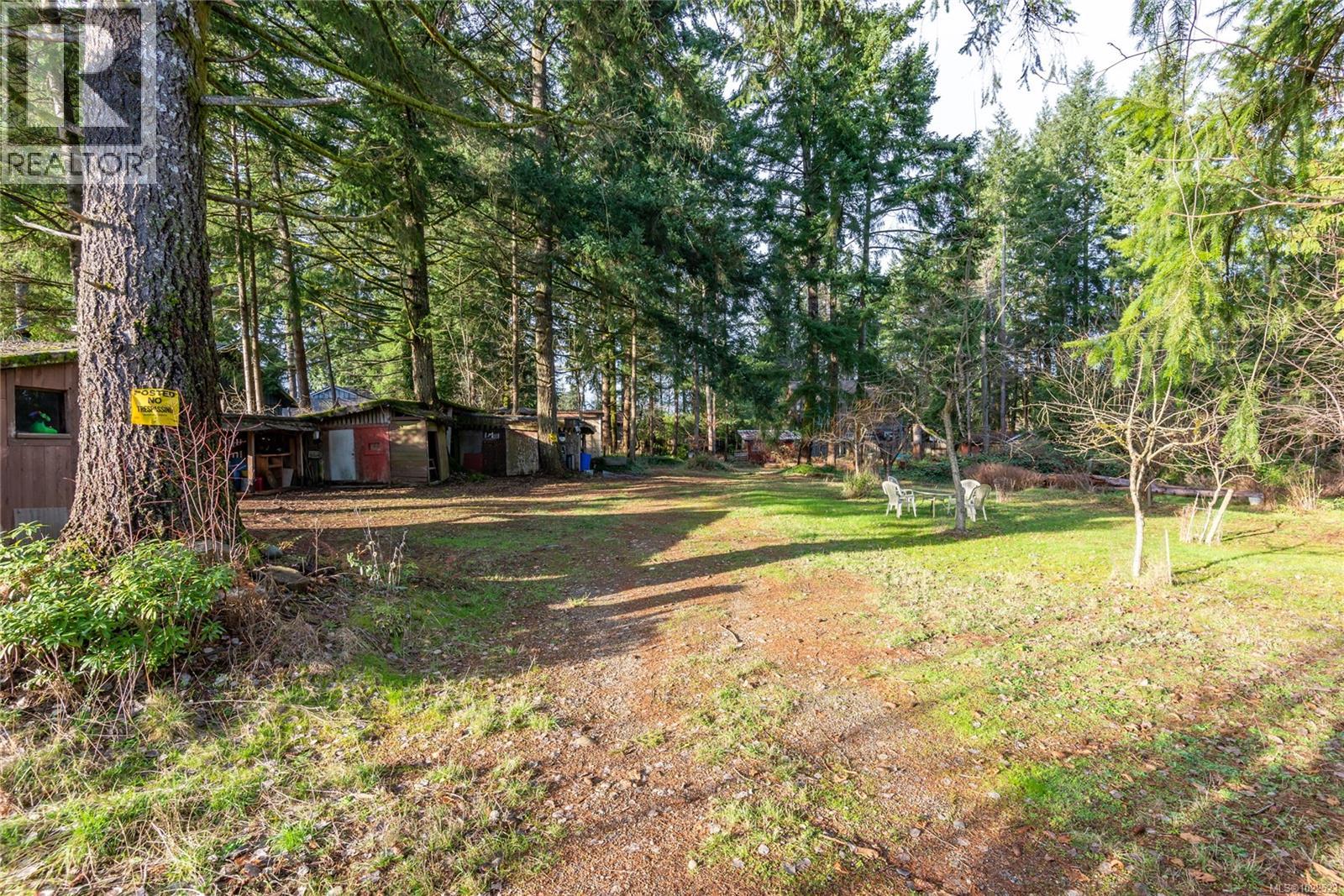 3352 Mill St, Cumberland, British Columbia V0R 1S0 - Photo 12 - 1022523