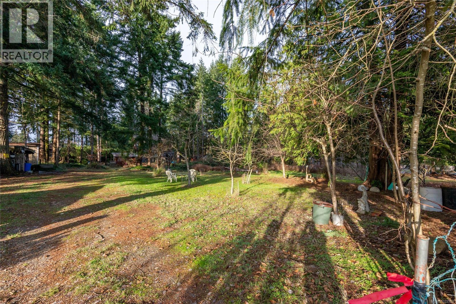 3352 Mill St, Cumberland, British Columbia V0R 1S0 - Photo 13 - 1022523