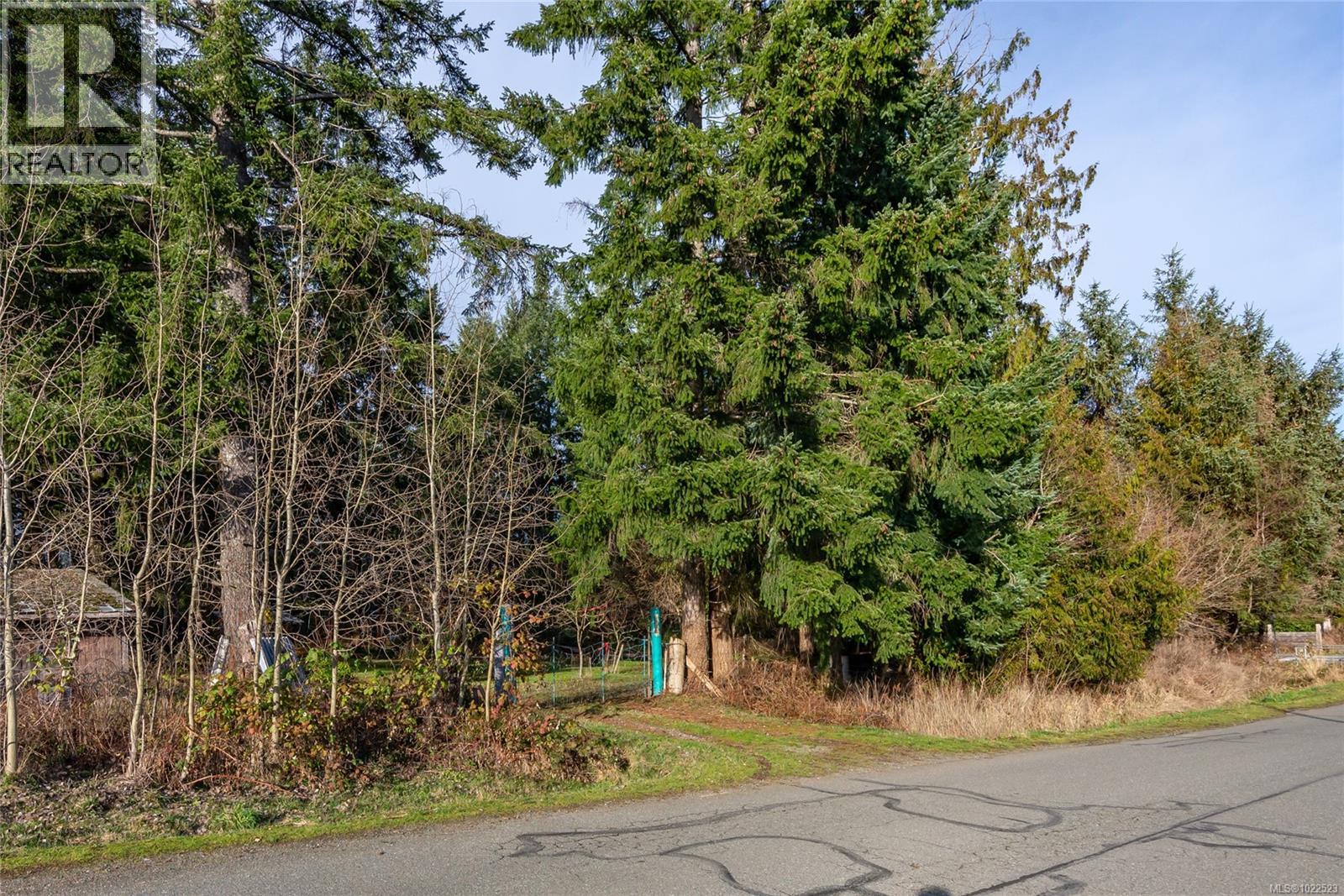 3352 Mill St, Cumberland, British Columbia V0R 1S0 - Photo 14 - 1022523