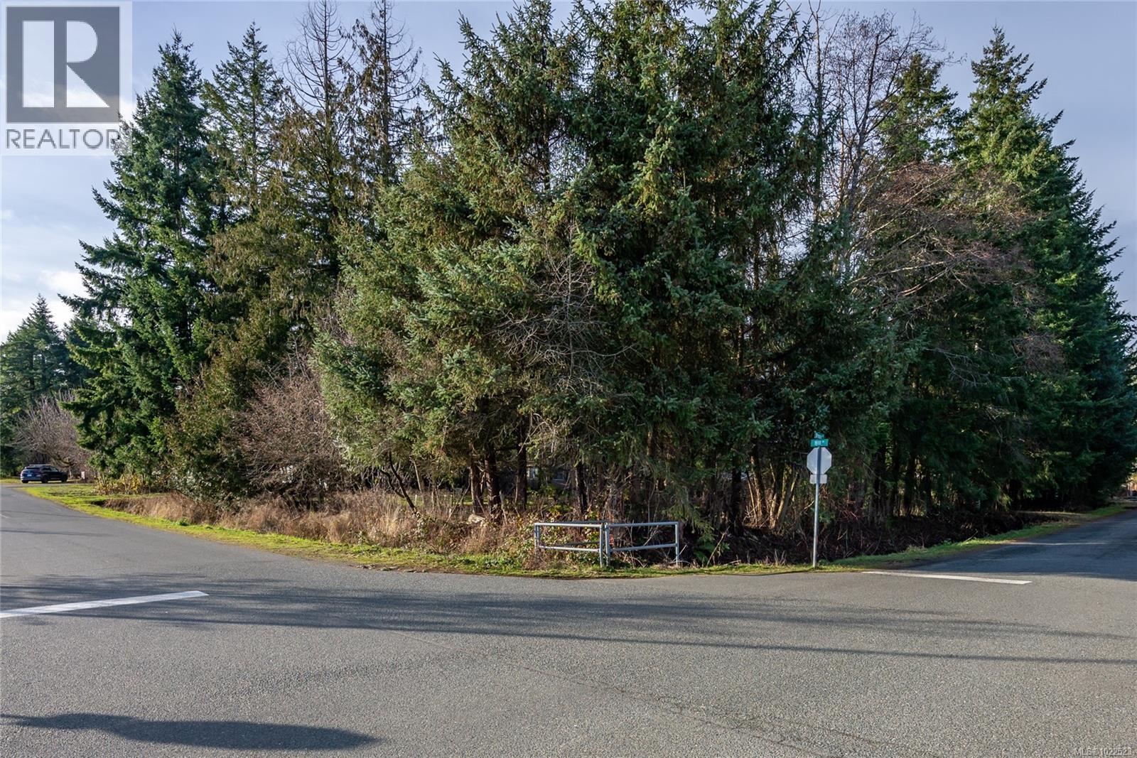 3352 Mill St, Cumberland, British Columbia V0R 1S0 - Photo 15 - 1022523