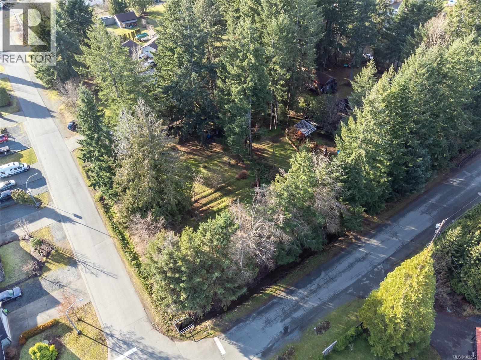 3352 Mill St, Cumberland, British Columbia V0R 1S0 - Photo 5 - 1022523