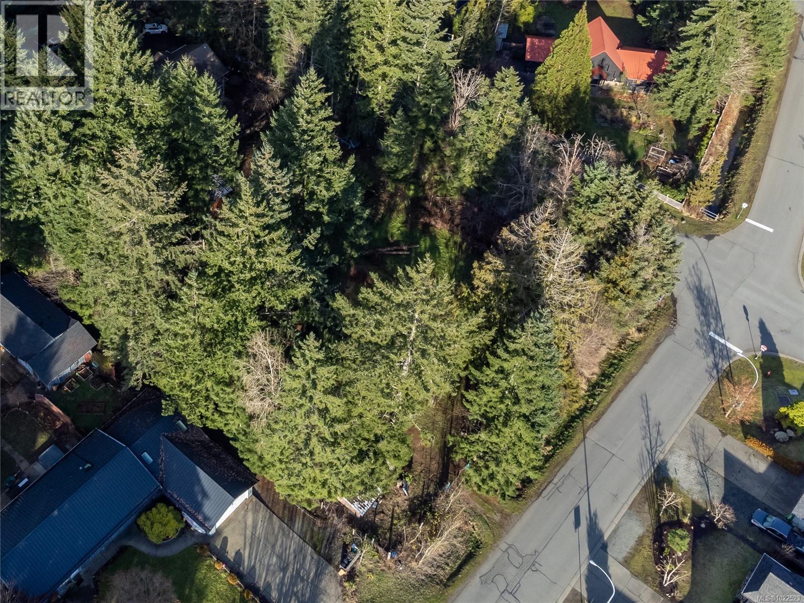 3352 Mill St, Cumberland, British Columbia V0R 1S0 - Photo 6 - 1022523