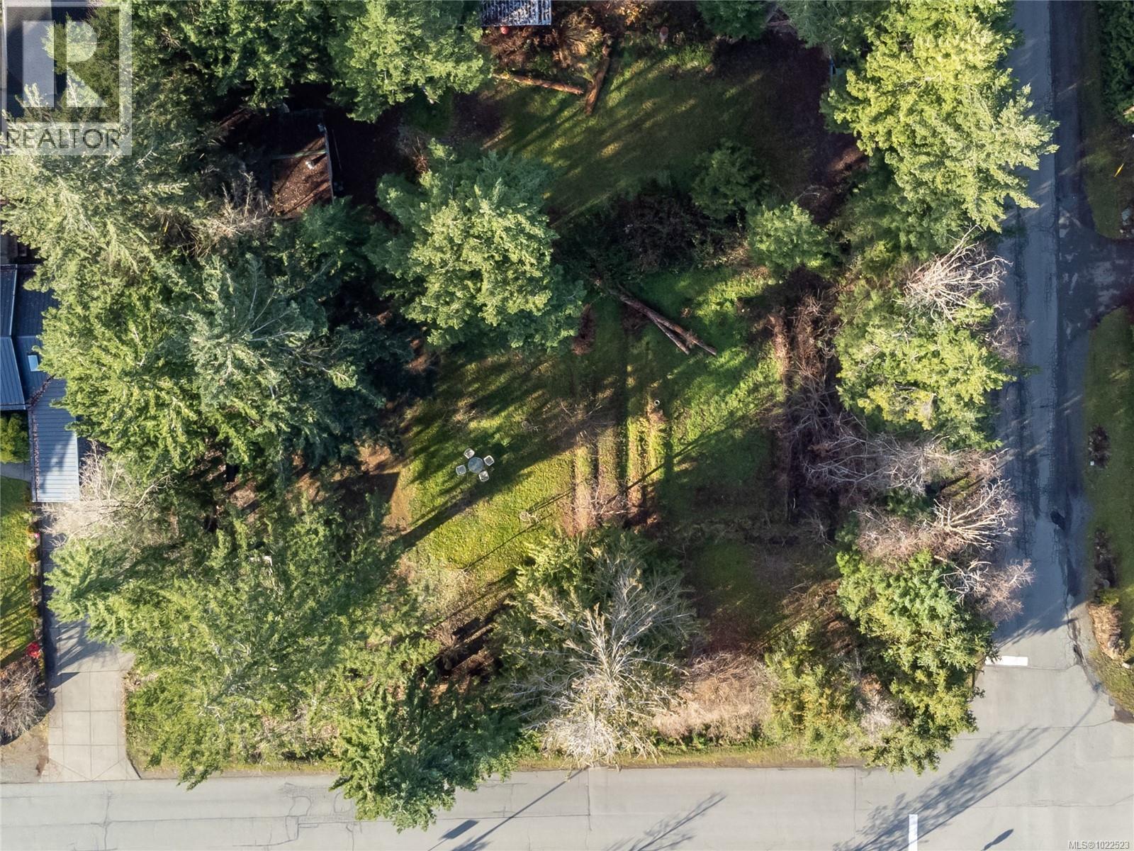 3352 Mill St, Cumberland, British Columbia V0R 1S0 - Photo 7 - 1022523