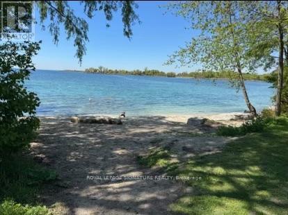 26 Tenth Street, Toronto, Ontario  M8V 3E8 - Photo 40 - W12669742