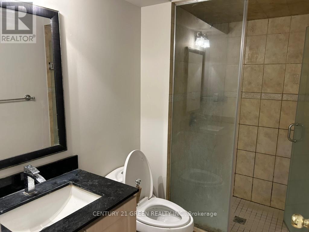 Bsmt - 3156 Seabright Drive, Mississauga, Ontario  L5M 0B4 - Photo 14 - W12672594