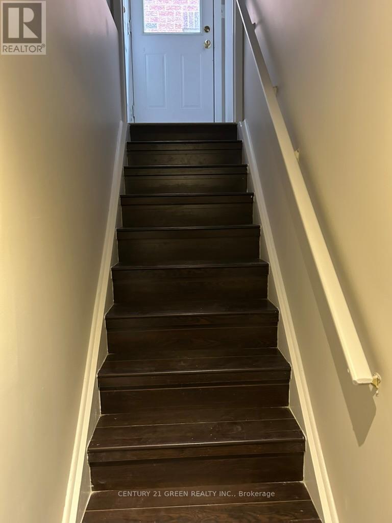 Bsmt - 3156 Seabright Drive, Mississauga, Ontario  L5M 0B4 - Photo 2 - W12672594