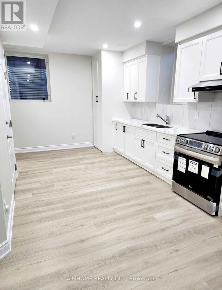 Basement - 4 Flagg Avenue, Brant, Ontario  N3L 0K2 - Photo 16 - X12669952