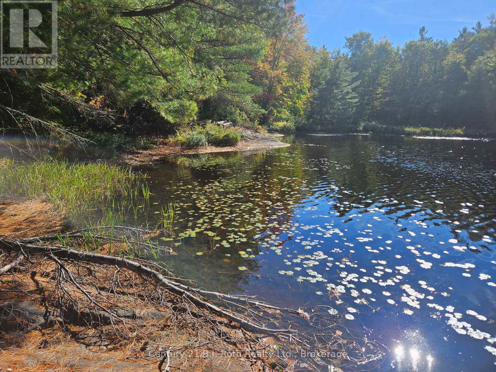 1112 Sam Cook Road, Gravenhurst (Ryde), Ontario  P1P 1R3 - Photo 14 - X12672910