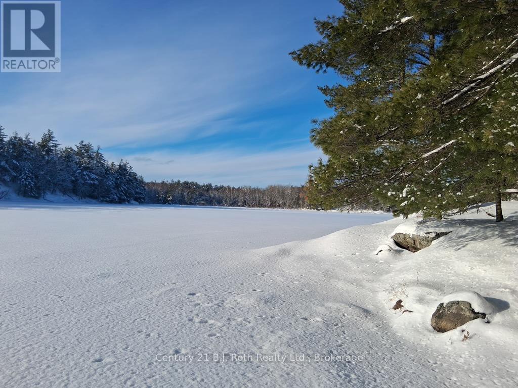 1112 Sam Cook Road, Gravenhurst (Ryde), Ontario  P1P 1R3 - Photo 16 - X12672910