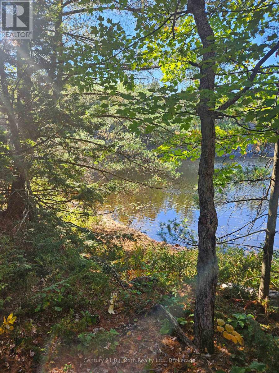 1112 Sam Cook Road, Gravenhurst (Ryde), Ontario  P1P 1R3 - Photo 4 - X12672910