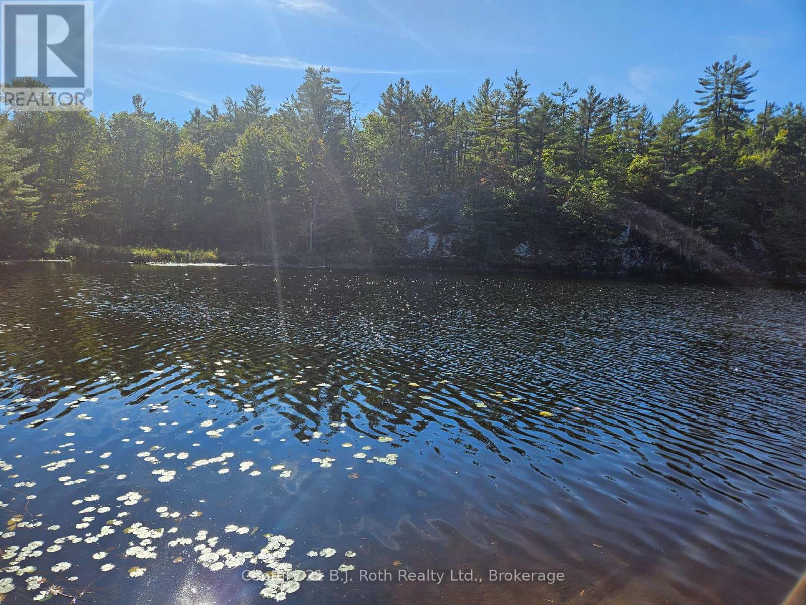 1112 Sam Cook Road, Gravenhurst (Ryde), Ontario  P1P 1R3 - Photo 8 - X12672910