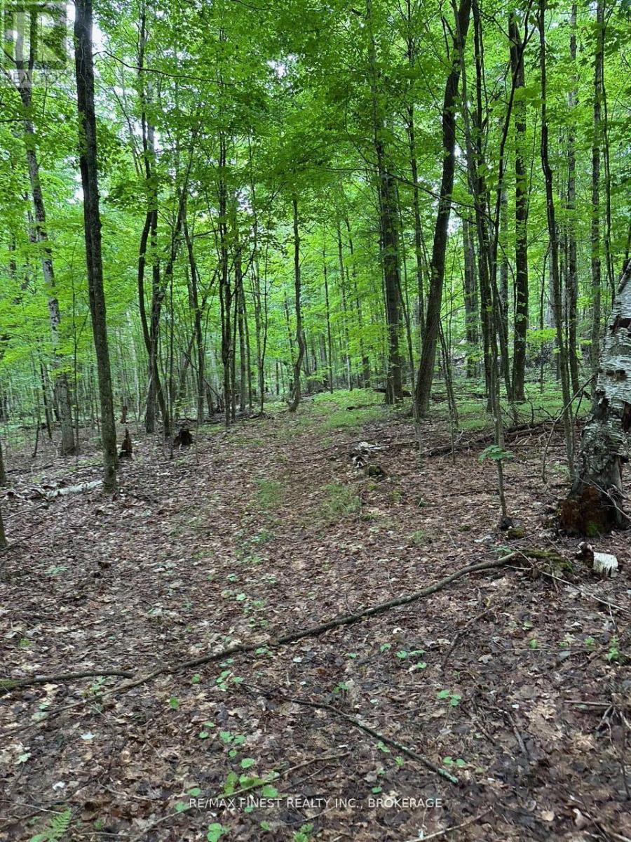 1042 St Pierre Road, Frontenac, Ontario  K0H 2C0 - Photo 3 - X12672924