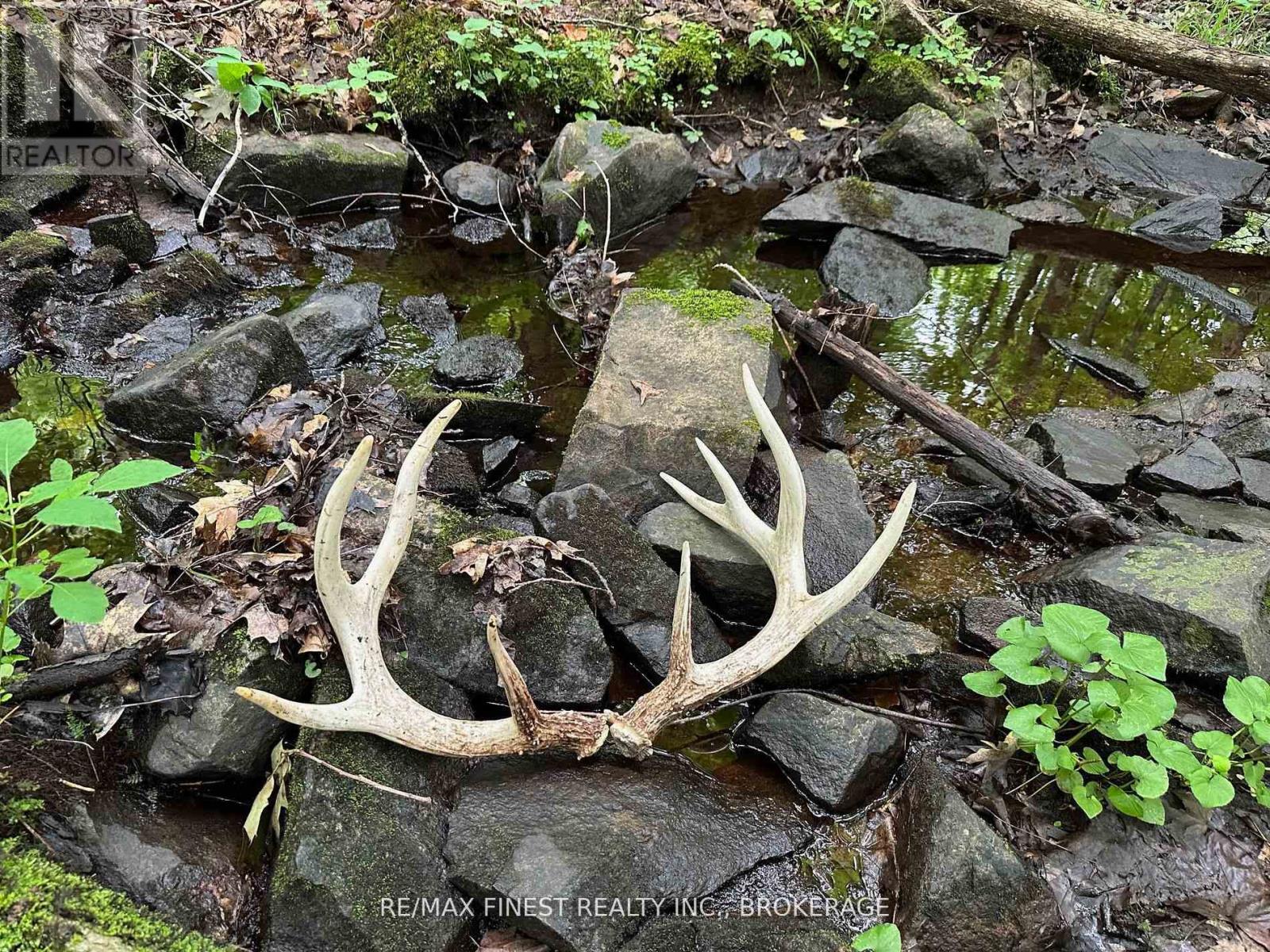 1042 St Pierre Road, Frontenac, Ontario  K0H 2C0 - Photo 5 - X12672924