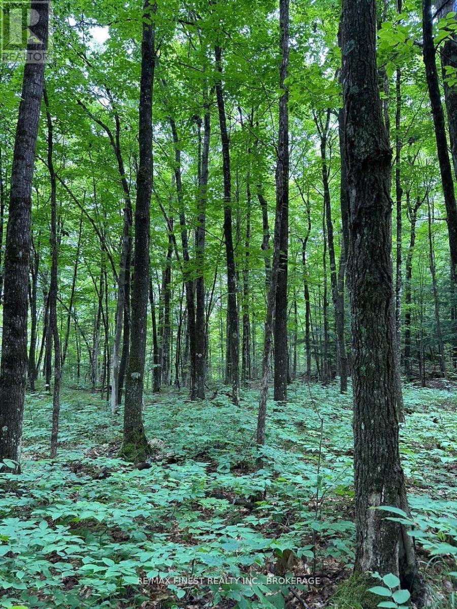 1042 St Pierre Road, Frontenac, Ontario  K0H 2C0 - Photo 6 - X12672924