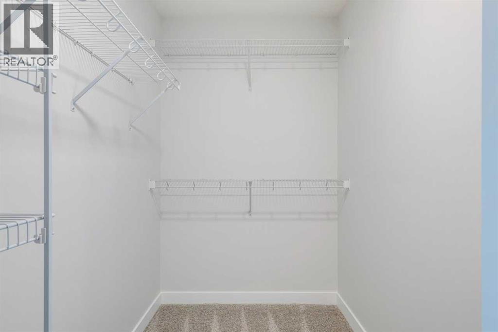 613 Sailfin Drive, Rural Rocky View County, Alberta  T3Z 2G7 - Photo 43 - A2275438