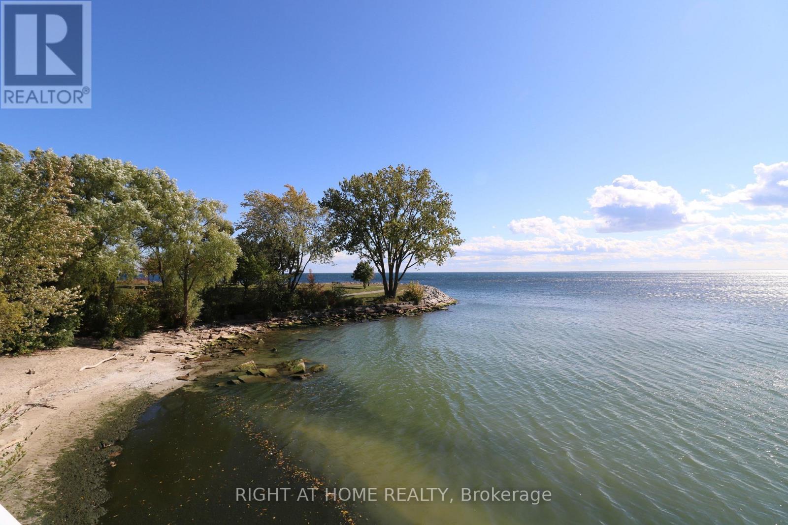 7 Eleventh Street, Toronto, Ontario  M8V 3G2 - Photo 4 - W12672948