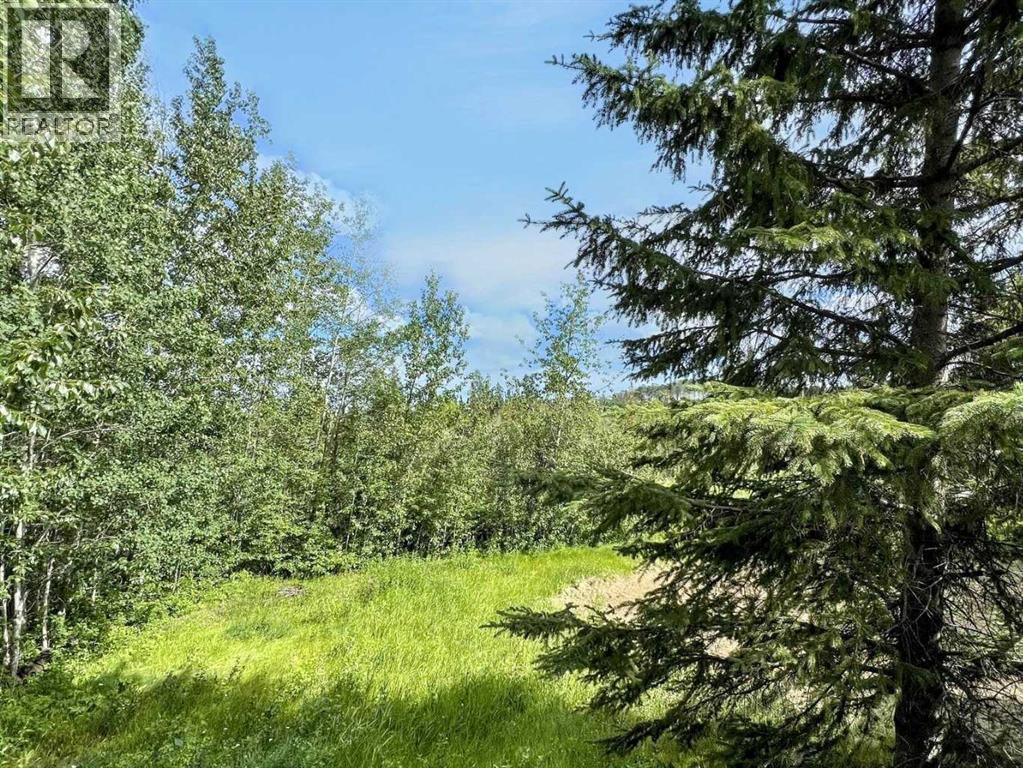 57 Poplar Crescent, Gregoire Lake Estates, Alberta  T9H 5S1 - Photo 37 - A2267503