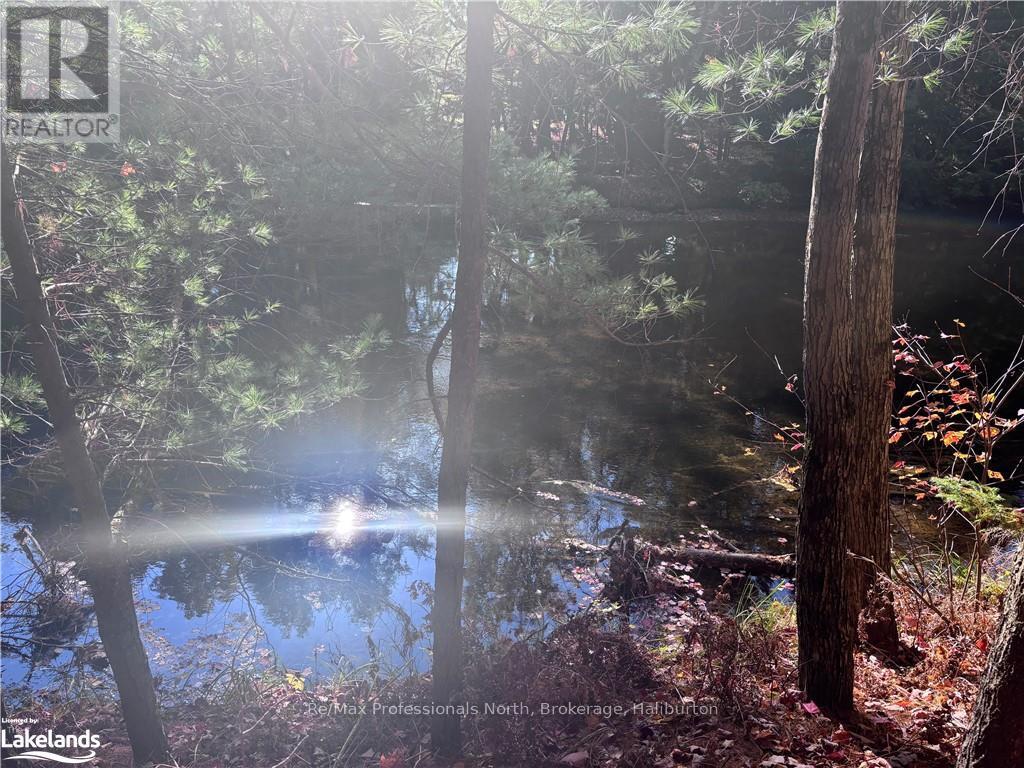 Lot 1, Algonquin Highlands, Ontario  K0M 1J2 - Photo 10 - X10436562