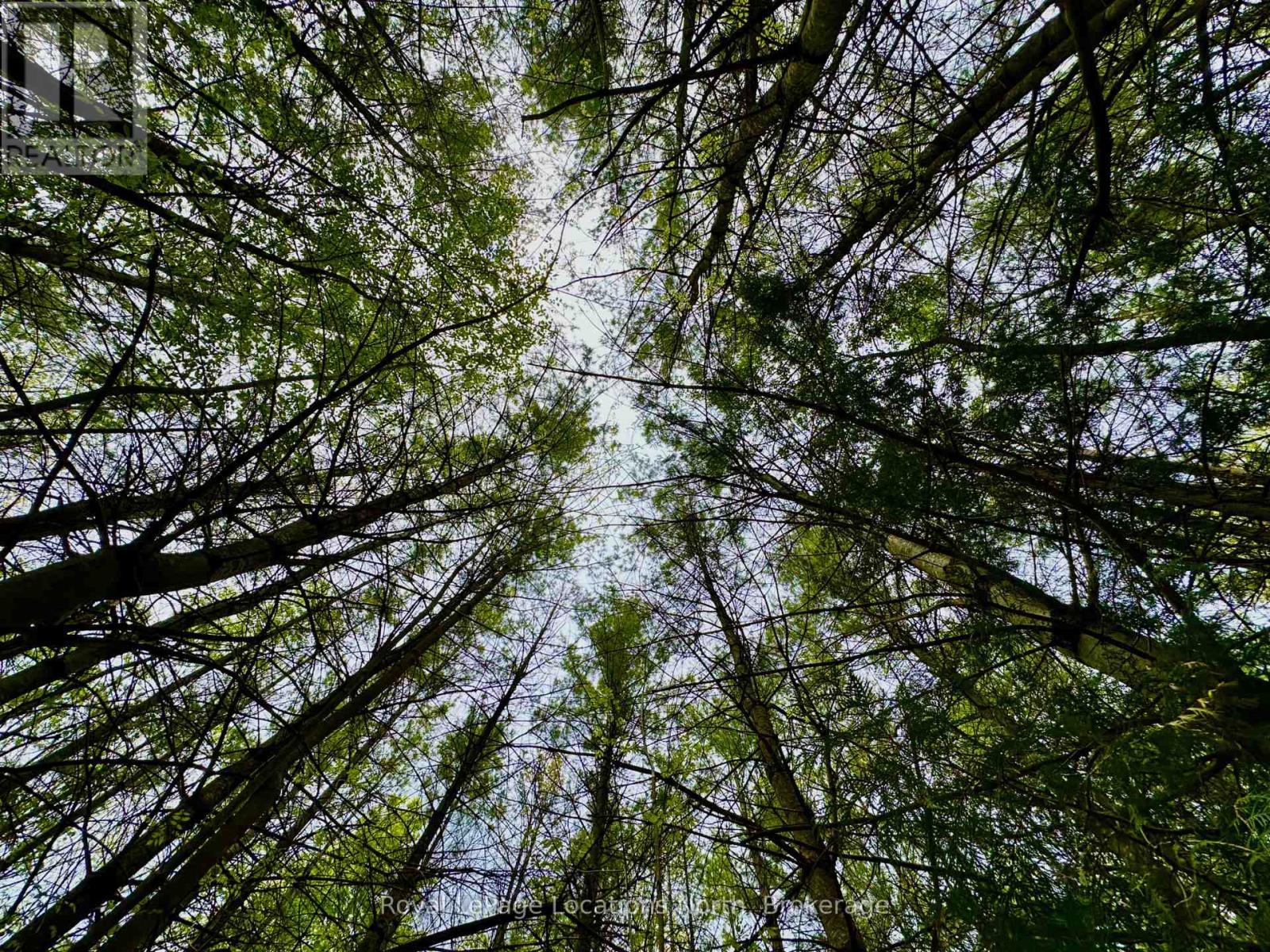 777215 Highway 10, Chatsworth, Ontario  N0H 1R0 - Photo 15 - X12554758