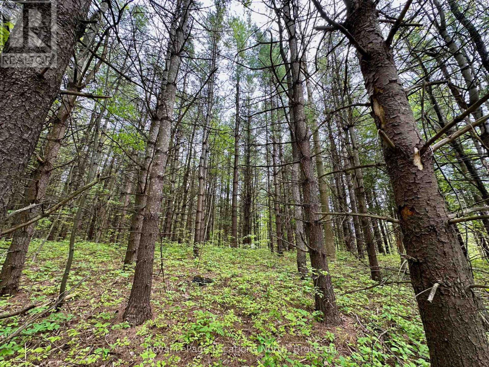 777215 Highway 10, Chatsworth, Ontario  N0H 1R0 - Photo 20 - X12554758