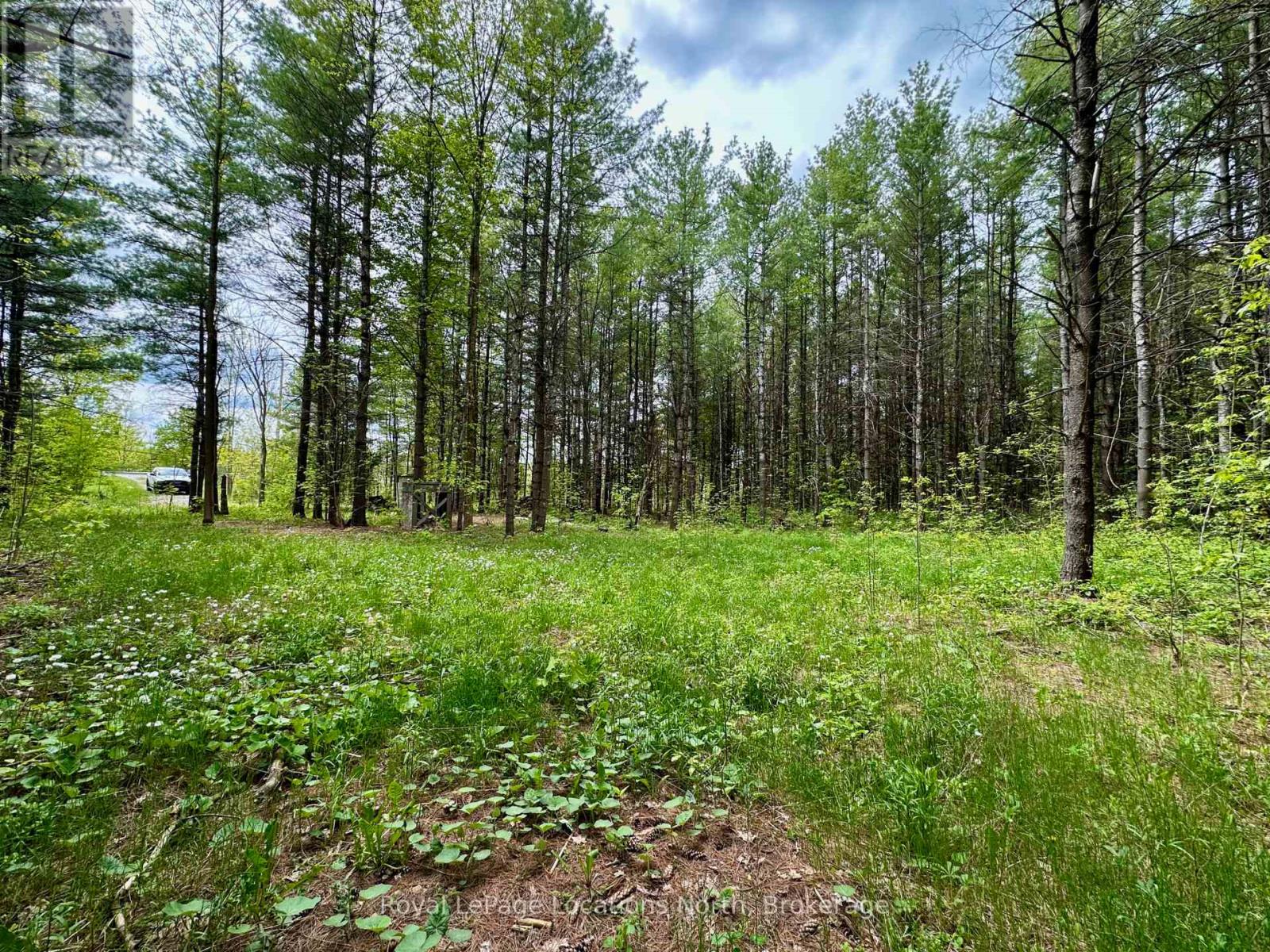 777215 Highway 10, Chatsworth, Ontario  N0H 1R0 - Photo 12 - X12554758