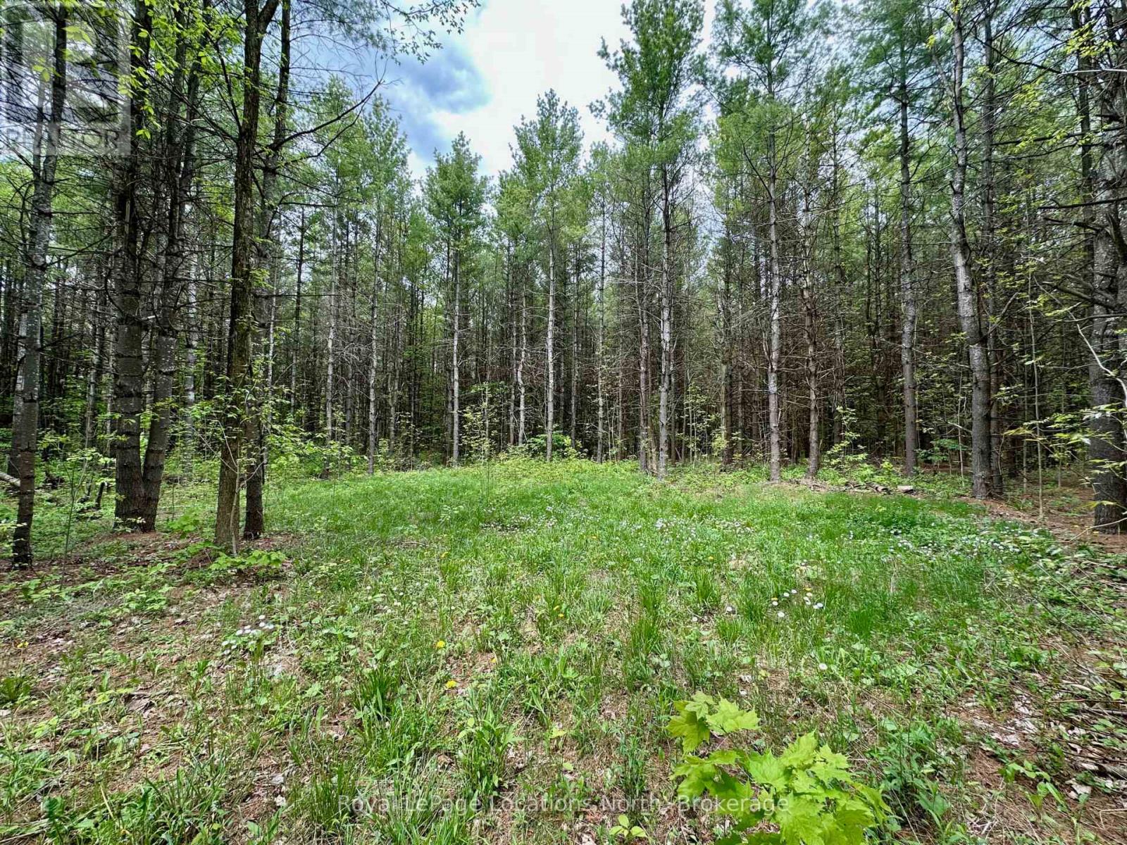 777215 Highway 10, Chatsworth, Ontario  N0H 1R0 - Photo 10 - X12554758