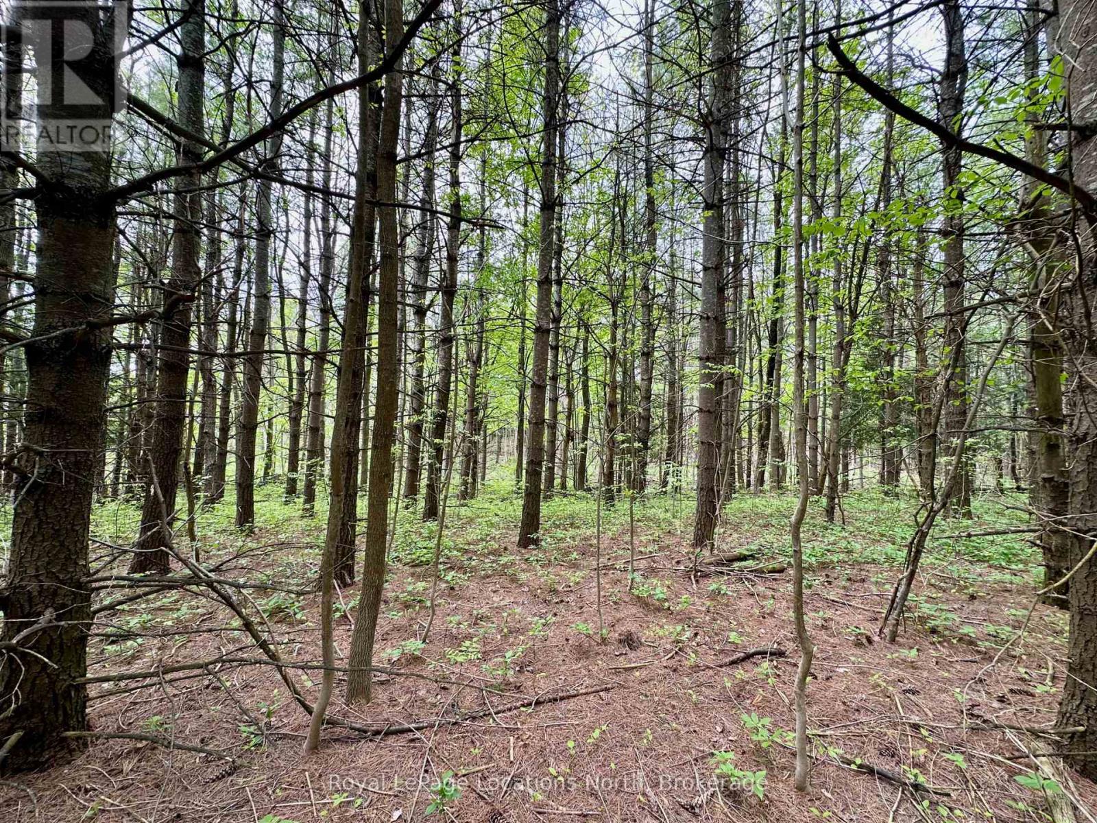 777215 Highway 10, Chatsworth, Ontario  N0H 1R0 - Photo 16 - X12554758