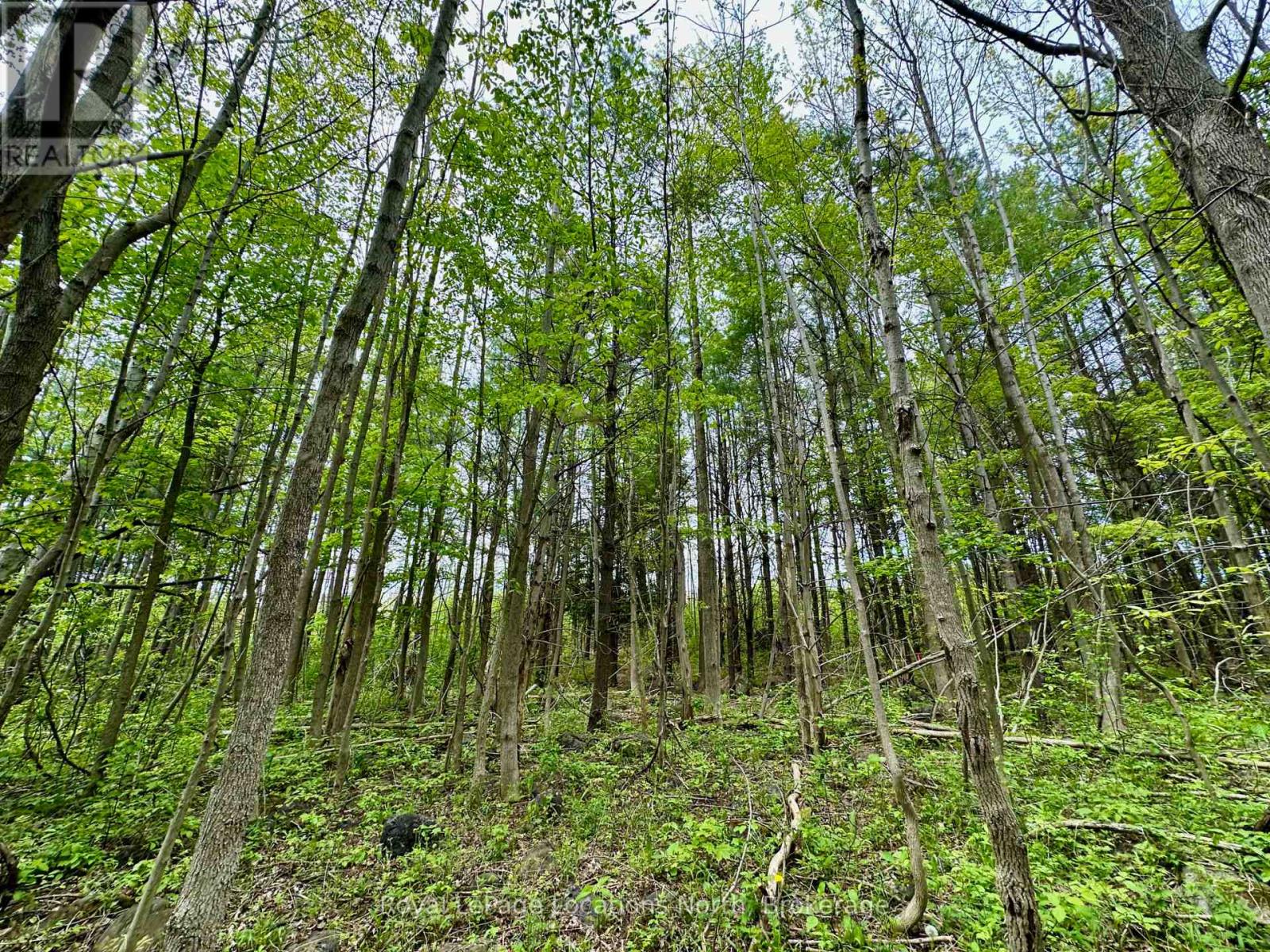 777215 Highway 10, Chatsworth, Ontario  N0H 1R0 - Photo 17 - X12554758