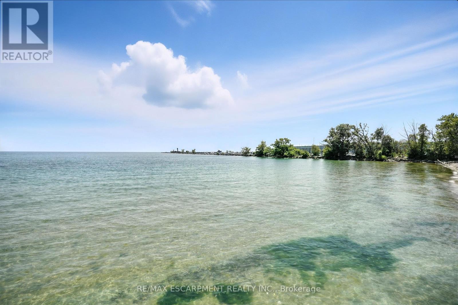 102 - 55 Port Street E, Mississauga, Ontario  L5A 4P3 - Photo 45 - W12673380