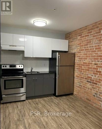 217 - 2870 Dundas Street W, Toronto, Ontario  M6P 1Y8 - Photo 3 - W12673510