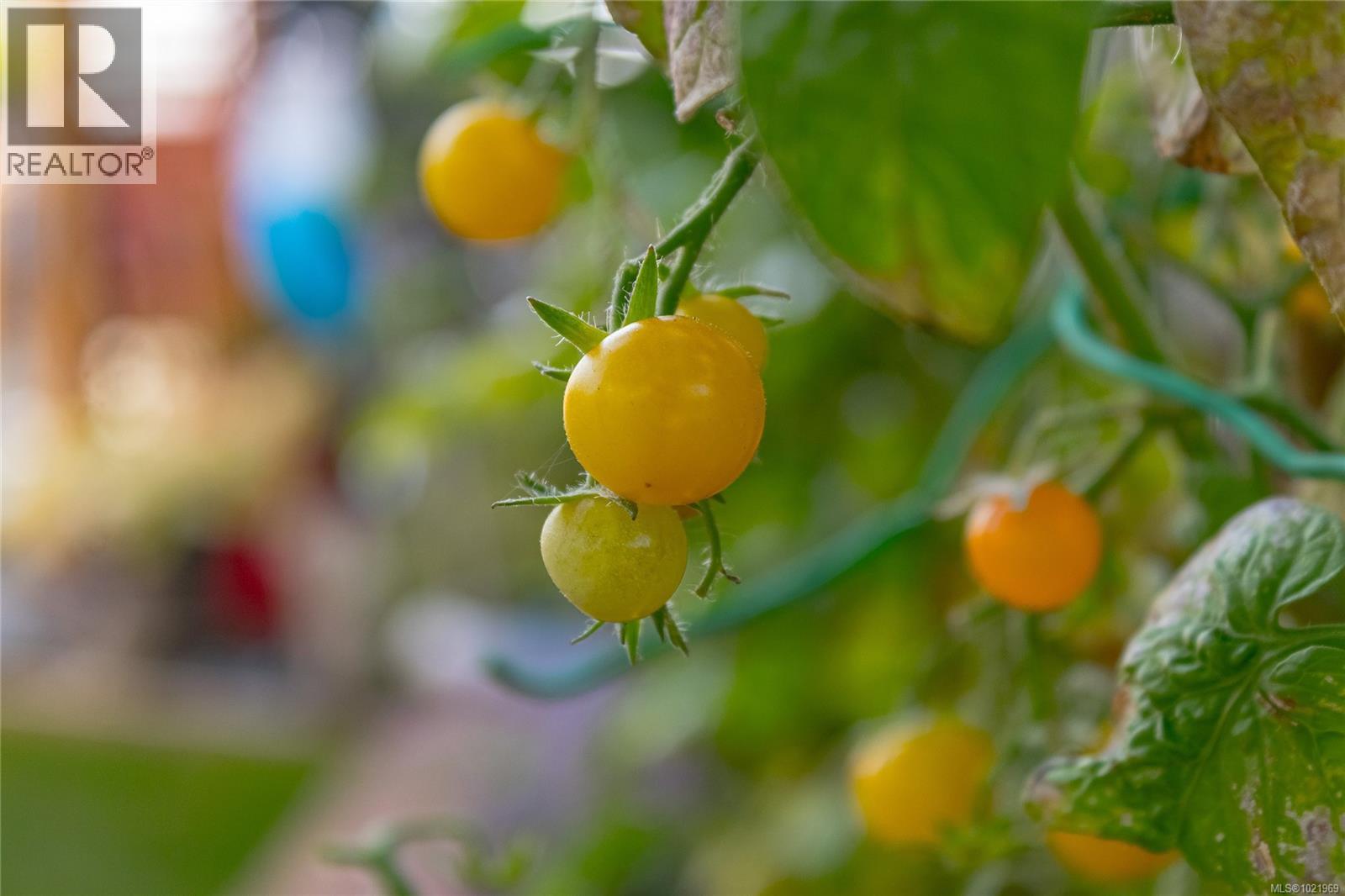 42 450 Stanford Ave E, Parksville, British Columbia V9P 2S8 - Photo 58 - 1021969