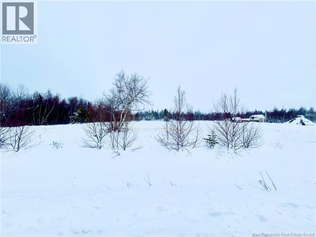 4a Green Point Road, Four Roads, New Brunswick  E1X 2Z9 - Photo 4 - NB131487