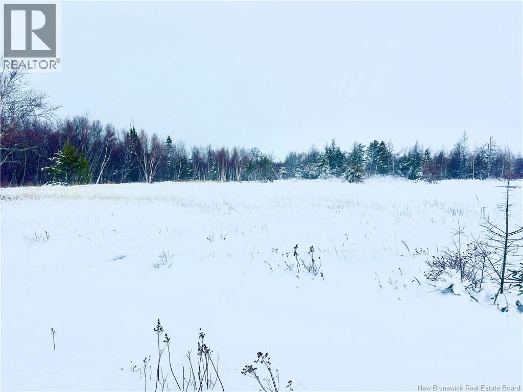 4a Green Point Road, Four Roads, New Brunswick  E1X 2Z9 - Photo 2 - NB131487