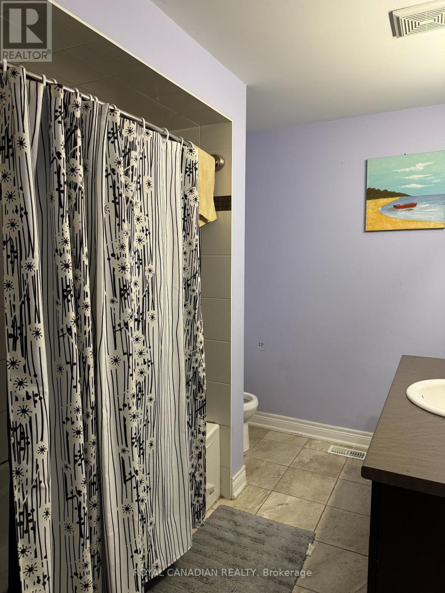 224 Moorland Crescent, Hamilton, Ontario  L9K 1S6 - Photo 16 - X12673564