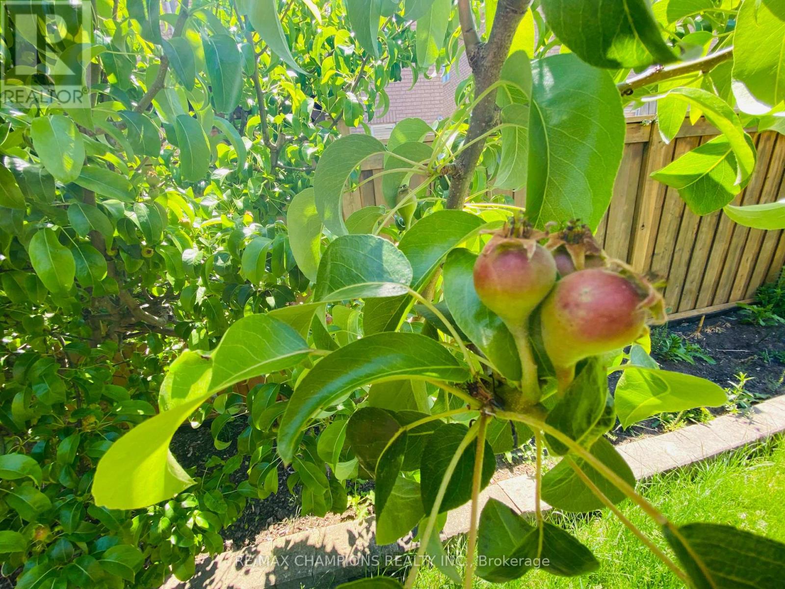 Upper - 32 Vernet Crescent, Brampton, Ontario  L6P 1Z5 - Photo 40 - W12673836