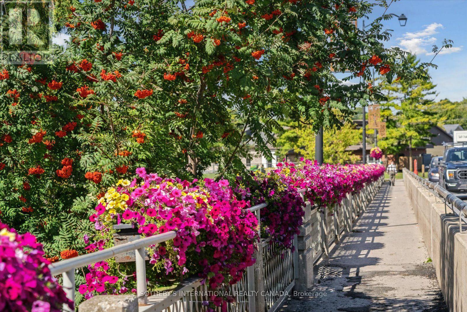 17 - 19 West St N Street, Kawartha Lakes, Ontario  K0M 1N0 - Photo 49 - X12673740