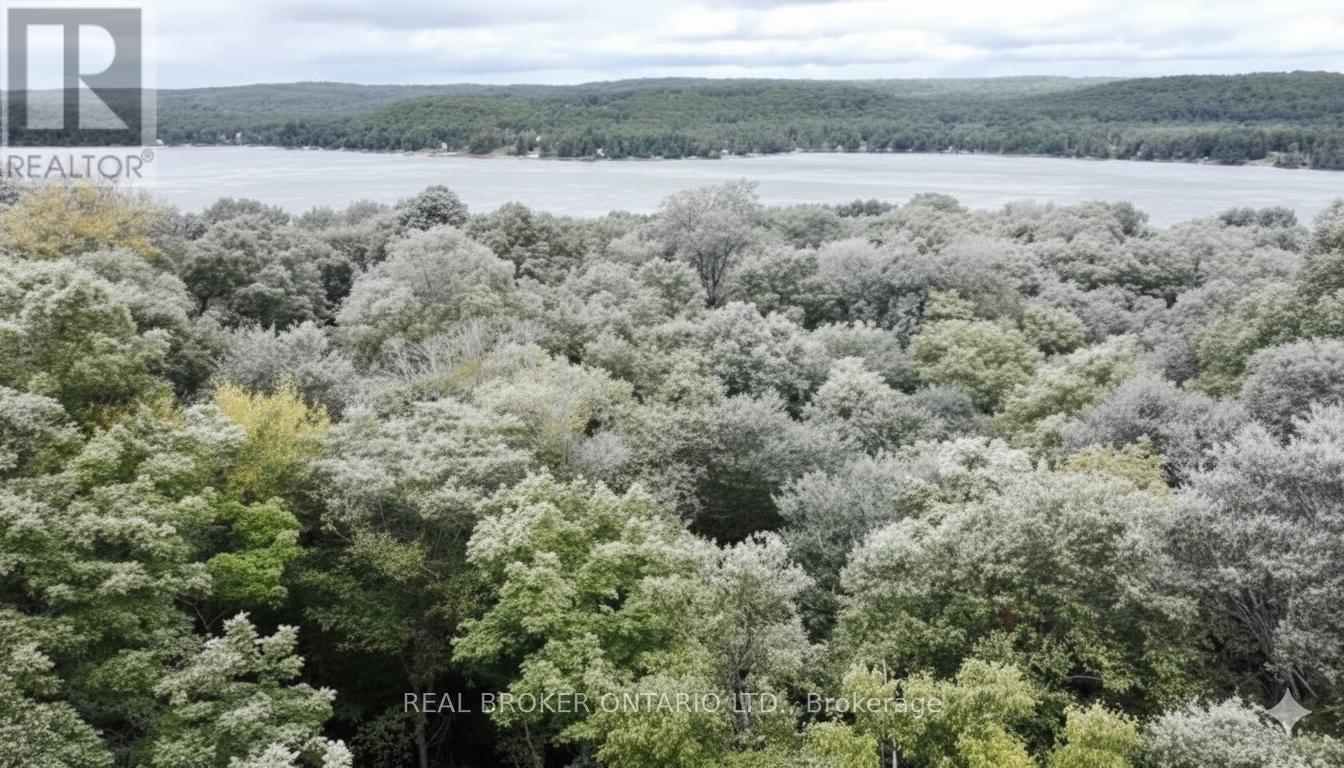 N/a Fader Drive, Algonquin Highlands, Ontario  K0M 1J1 - Photo 2 - X12673846