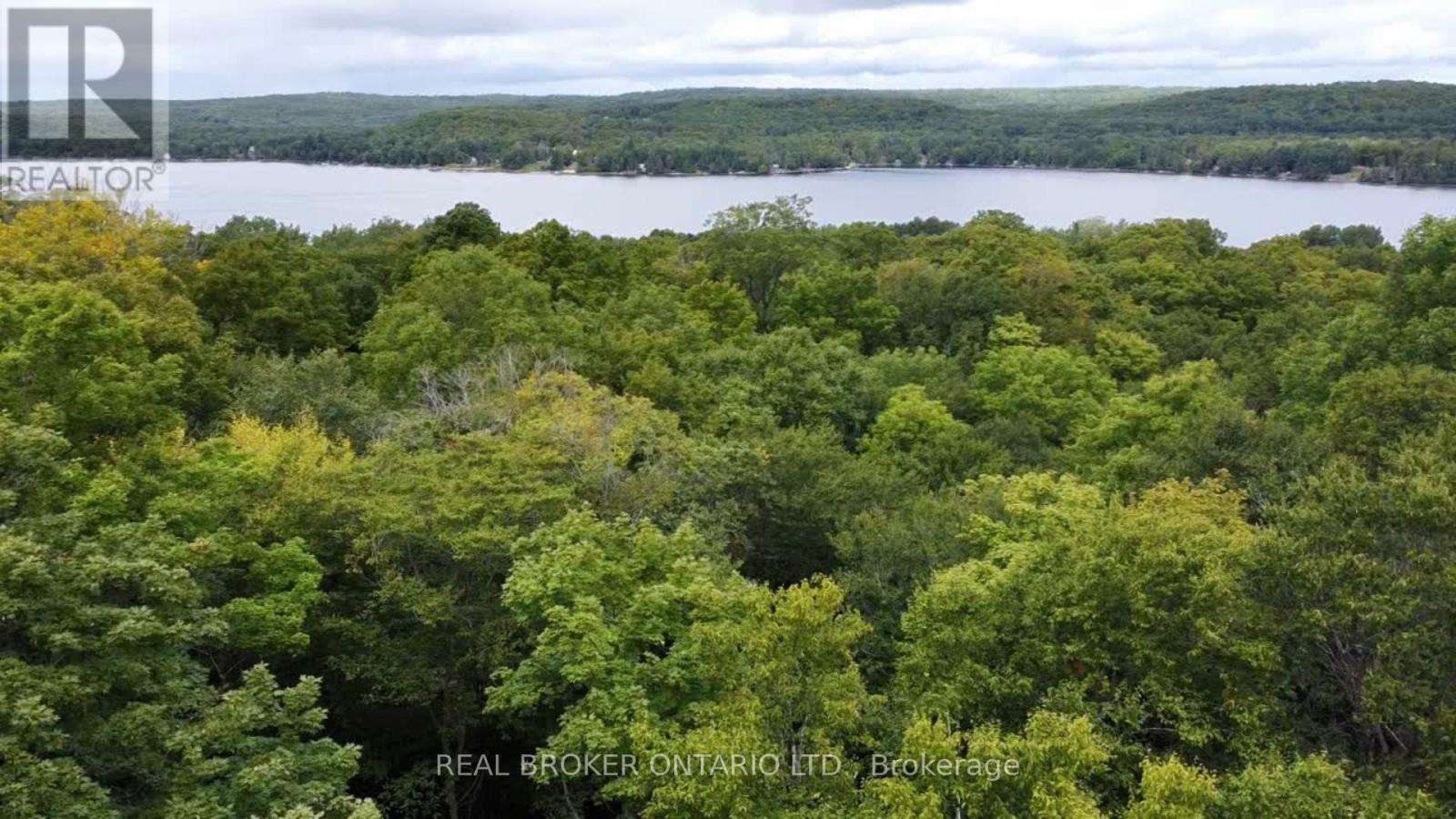 N/a Fader Drive, Algonquin Highlands, Ontario  K0M 1J1 - Photo 3 - X12673846