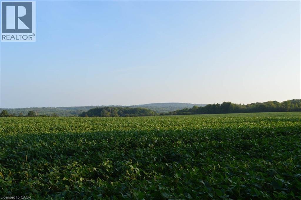 317278 Third Line, Meaford, Ontario  N4L 1W7 - Photo 42 - 40796194