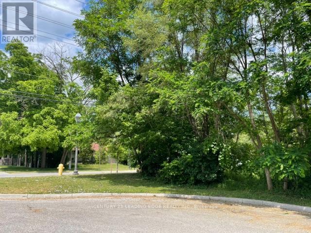 49 Main St. South, Markham (Unionville), Ontario  L3P 1L2 - Photo 4 - N12673906