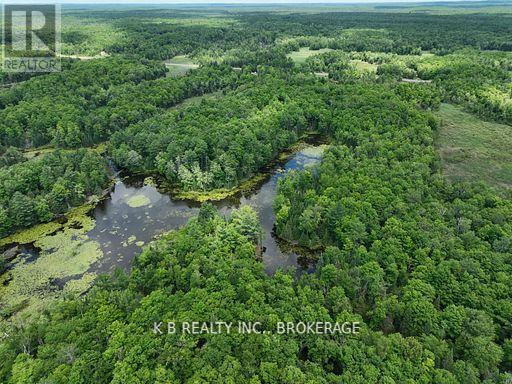 17887 62 Highway, Tudor And Cashel, Ontario  K0K 1Y0 - Photo 10 - X12674076