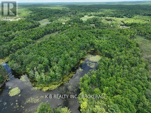 17887 62 Highway, Tudor And Cashel, Ontario  K0K 1Y0 - Photo 11 - X12674076