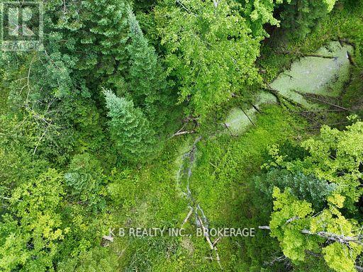 17887 62 Highway, Tudor And Cashel, Ontario  K0K 1Y0 - Photo 26 - X12674076