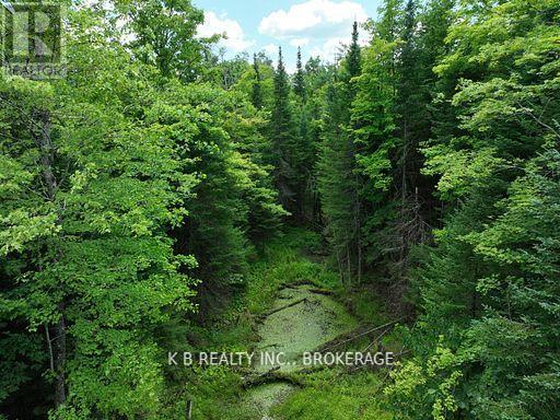 17887 62 Highway, Tudor And Cashel, Ontario  K0K 1Y0 - Photo 27 - X12674076