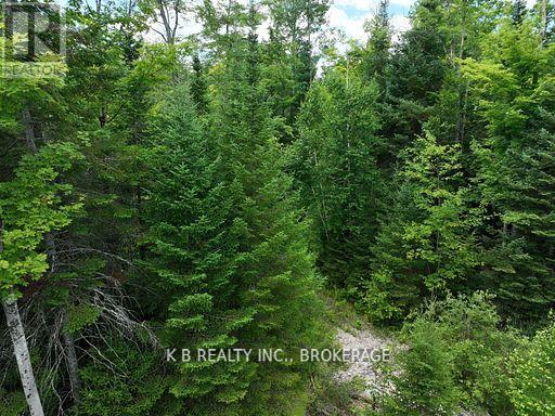 17887 62 Highway, Tudor And Cashel, Ontario  K0K 1Y0 - Photo 28 - X12674076