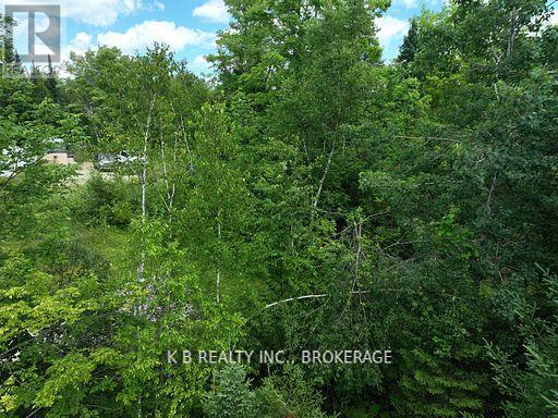 17887 62 Highway, Tudor And Cashel, Ontario  K0K 1Y0 - Photo 29 - X12674076