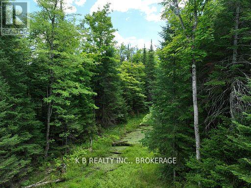 17887 62 Highway, Tudor And Cashel, Ontario  K0K 1Y0 - Photo 31 - X12674076